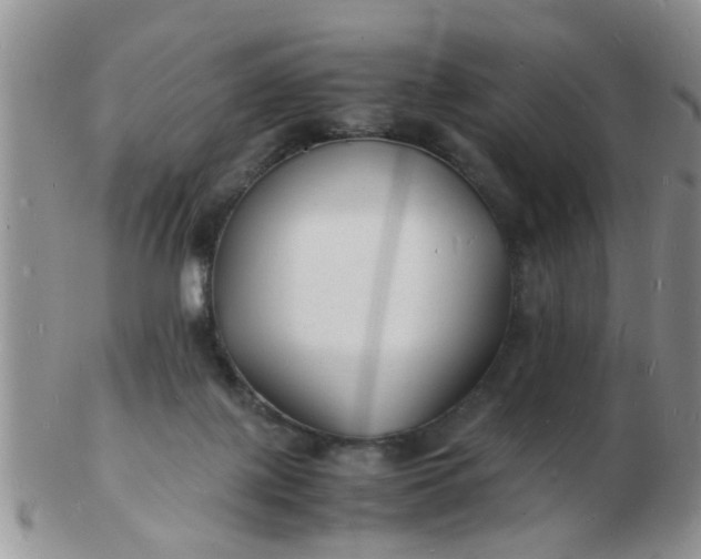 X0000103290075200809122017