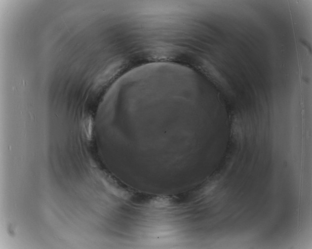 X0000103290076200809122017