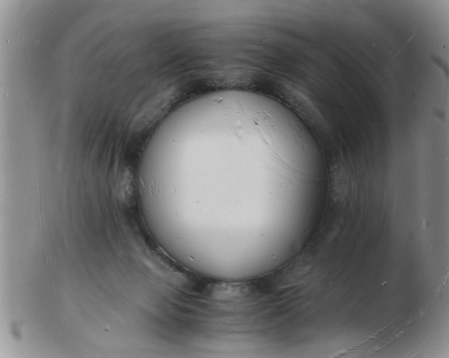 X0000103290077200809122017