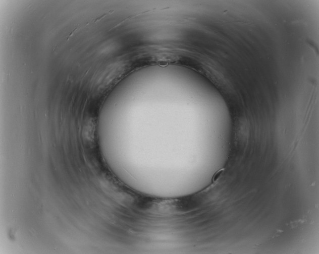 X0000103290078200809122017