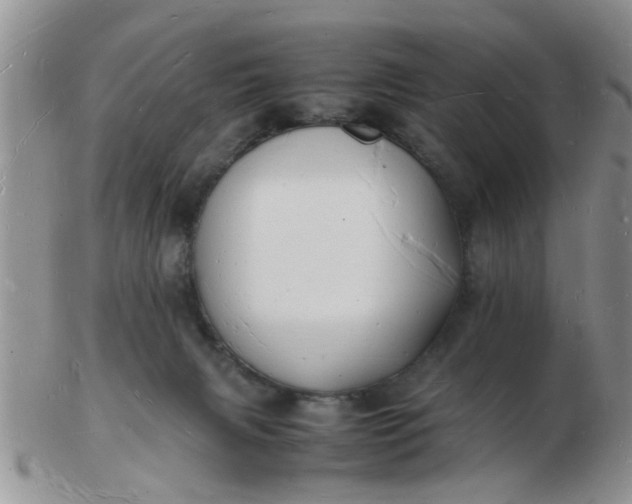 X0000103290079200809122017