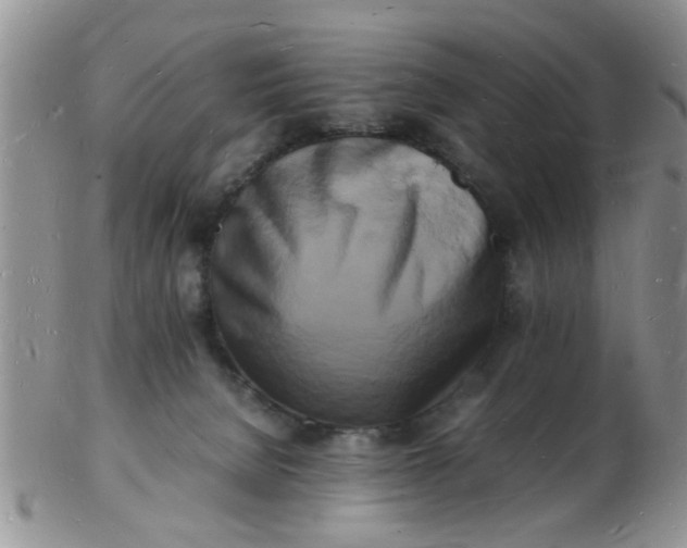 X0000103290080200809122017