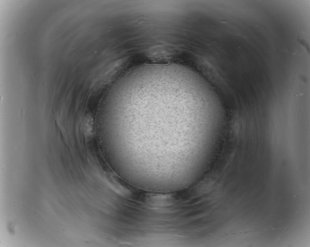 X0000103290081200809122017