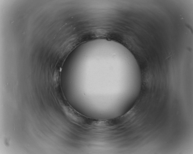 X0000103290082200809122017