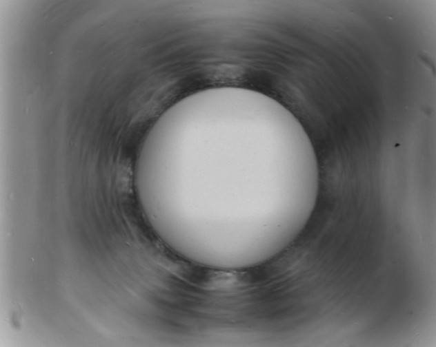 X0000103290083200809122017