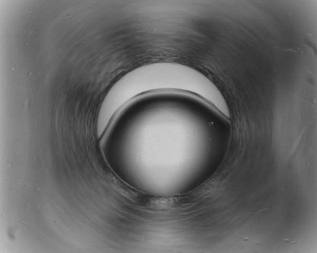 X0000103290084200809122017