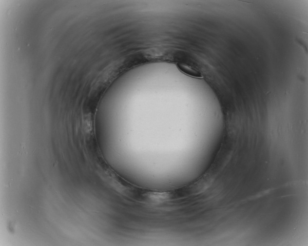 X0000103290085200809122017