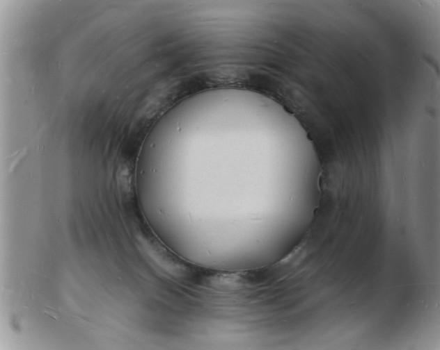 X0000103290086200809122017