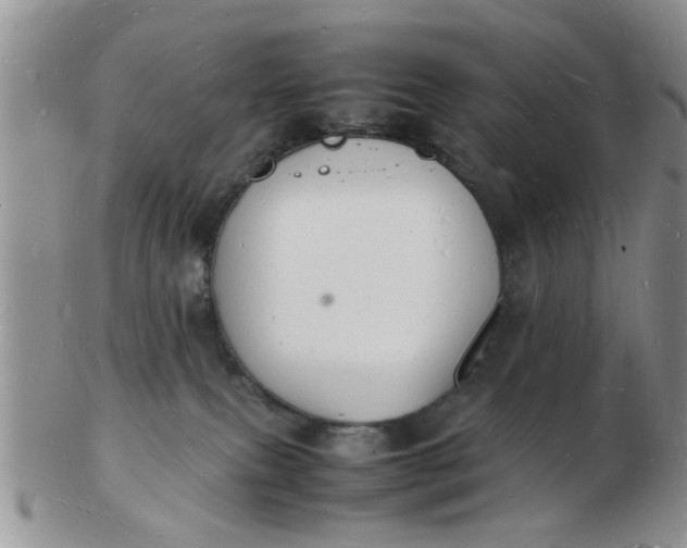 X0000103290087200809122017