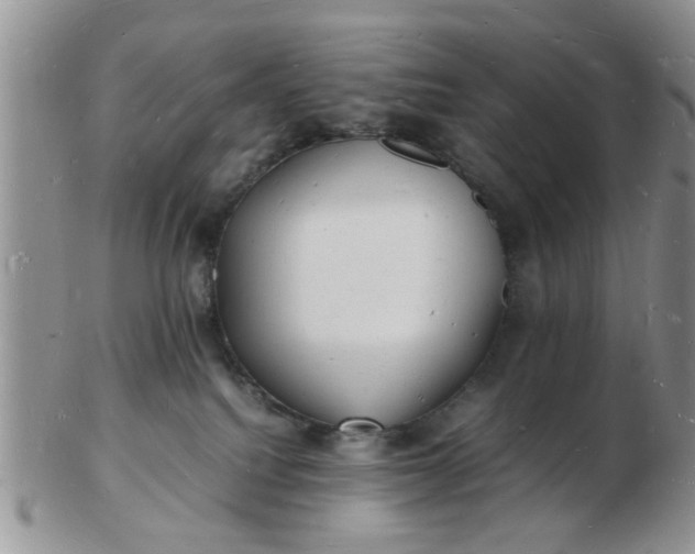 X0000103290088200809122017