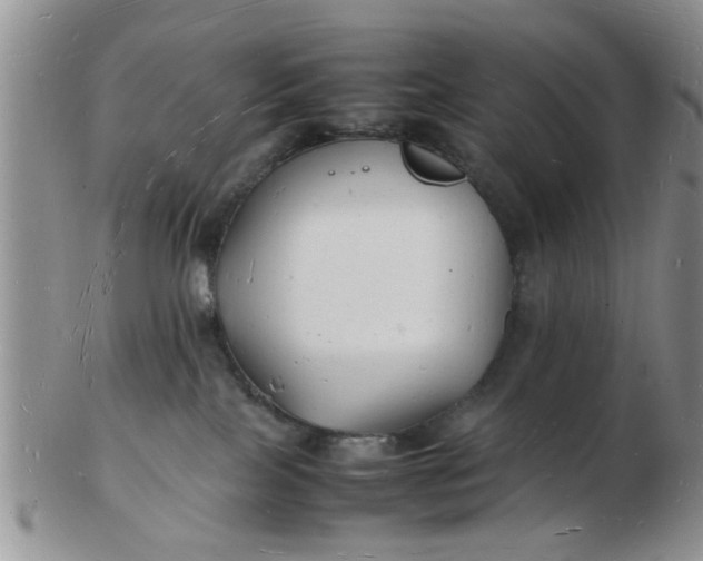 X0000103290089200809122017