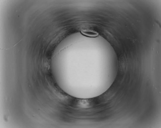 X0000103290091200809122017