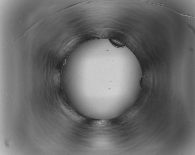 X0000103290092200809122017