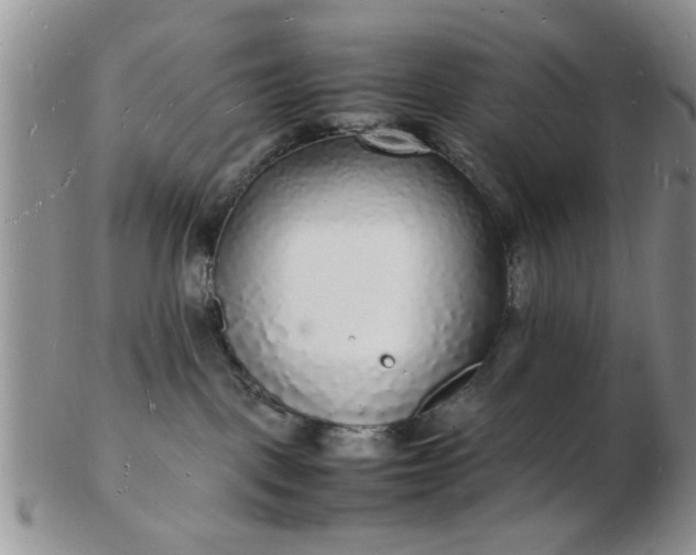 X0000103290093200809122017