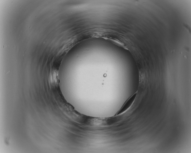 X0000103290094200809122017