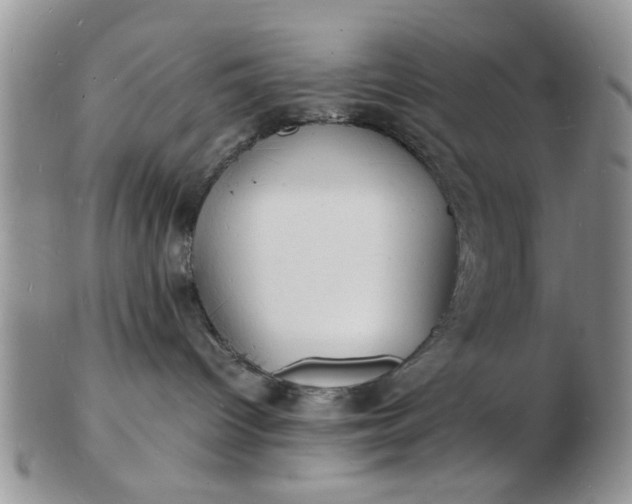 X0000103290096200809122017