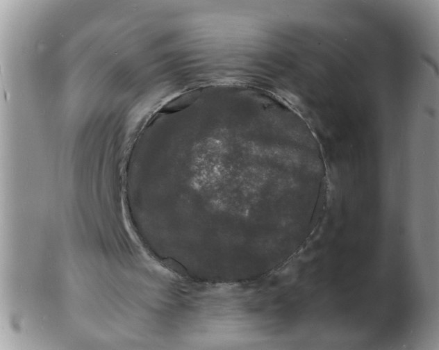 X0000103290097200809122016