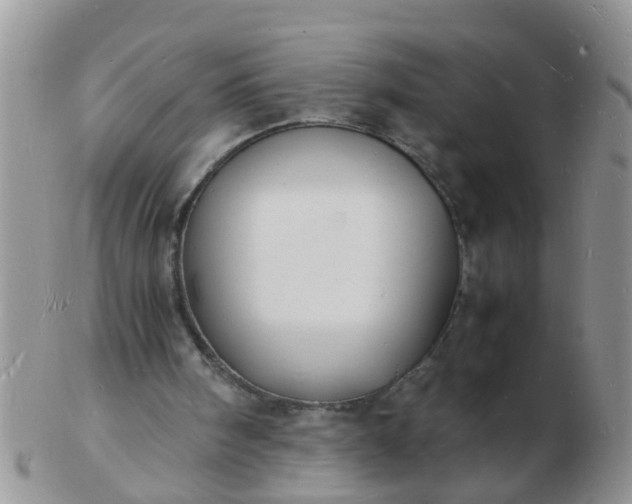 X0000103290098200809122016