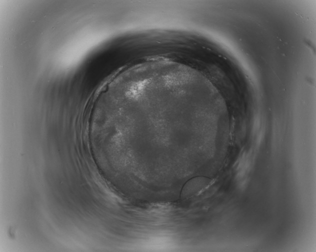 X0000103290099200809122016