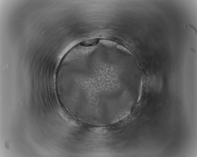 X0000103290100200809122016