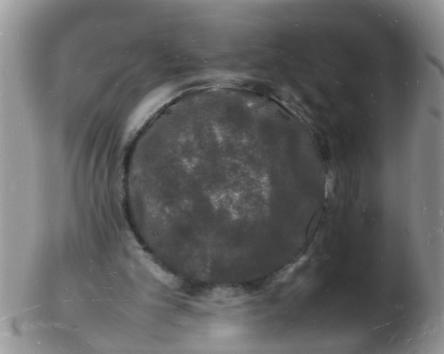 X0000103290101200809122016