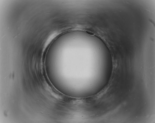 X0000103290102200809122016