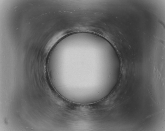 X0000103290103200809122016