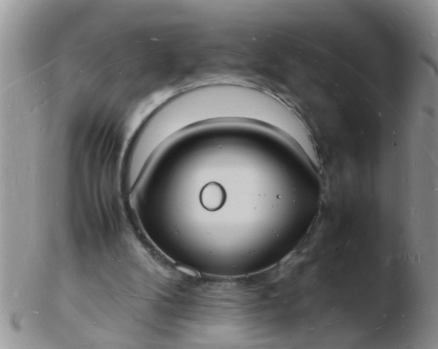 X0000103290104200809122016