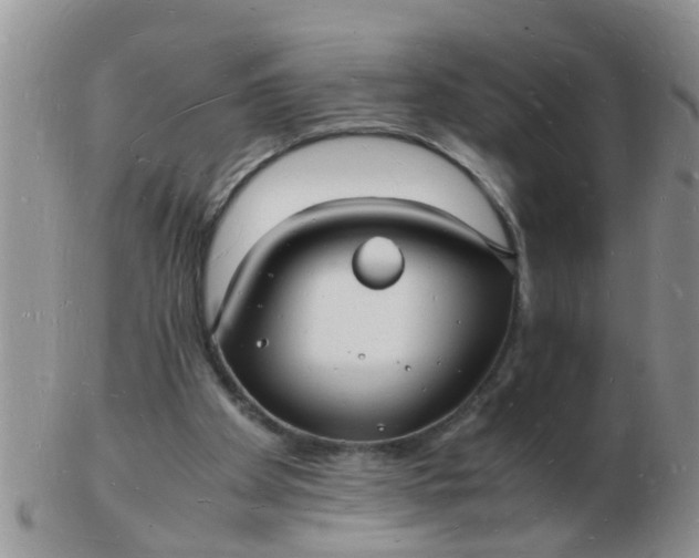 X0000103290105200809122016