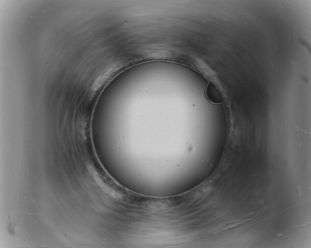 X0000103290106200809122016