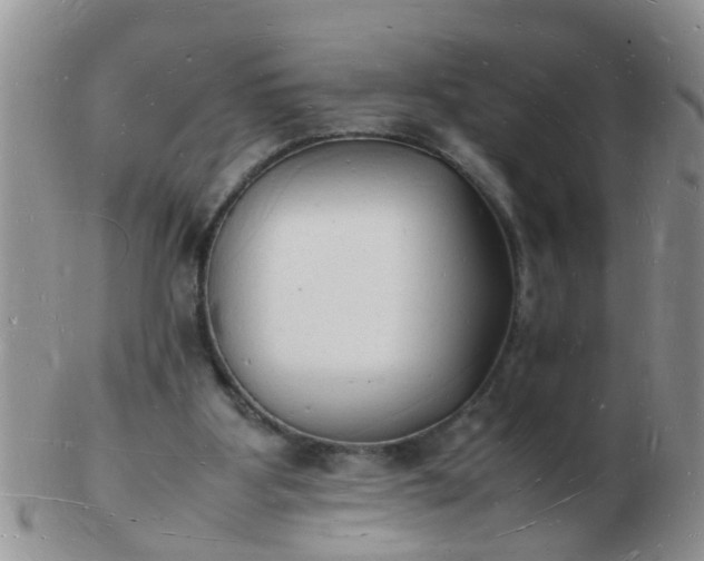 X0000103290107200809122016