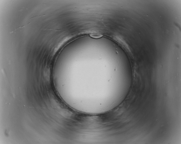 X0000103290108200809122016