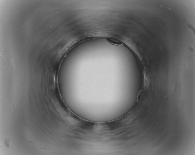 X0000103290109200809122016