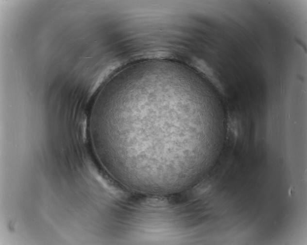 X0000103290110200809122016