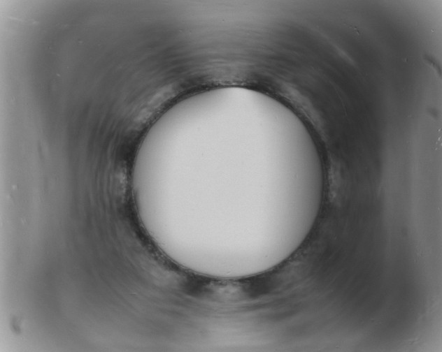 X0000103290113200809122016