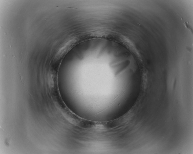 X0000103290114200809122016