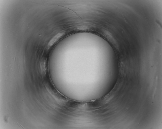 X0000103290116200809122016