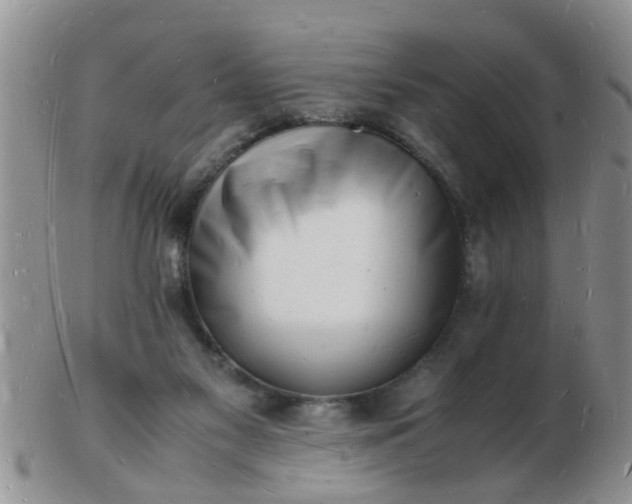 X0000103290117200809122016