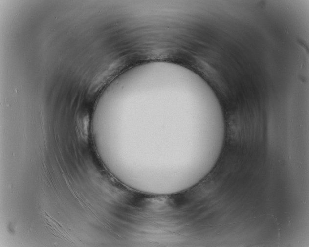 X0000103290118200809122016