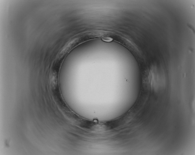 X0000103290119200809122016