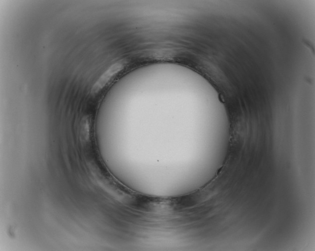 X0000103290120200809122016