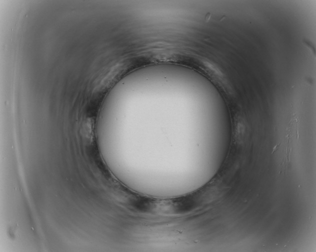 X0000103290121200809122016