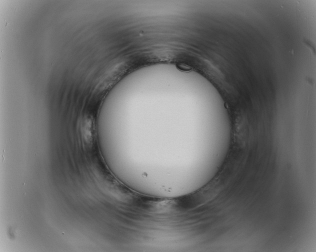 X0000103290122200809122016