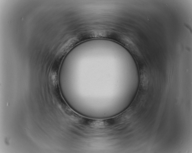 X0000103290123200809122016