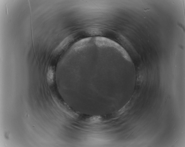 X0000103290124200809122016