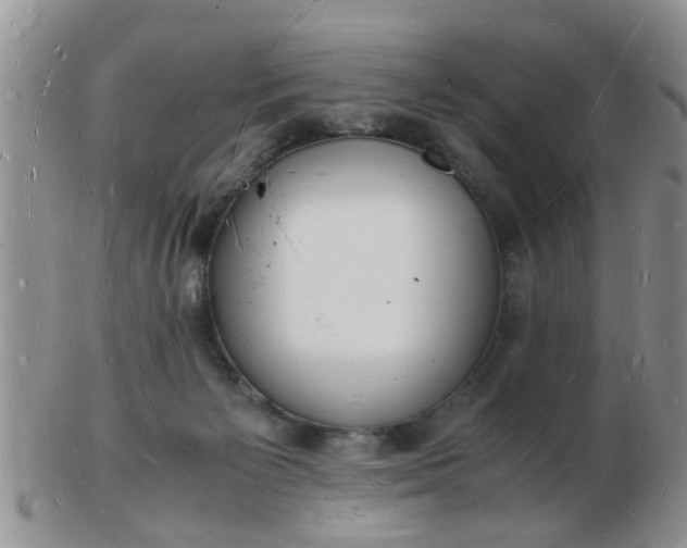 X0000103290125200809122016