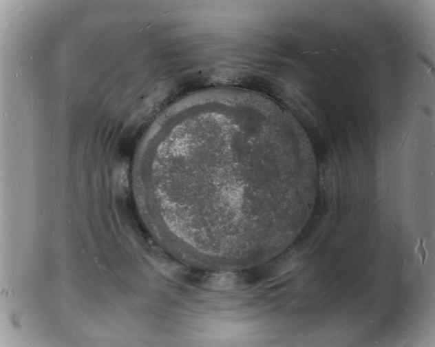 X0000103290127200809122016