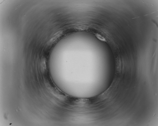 X0000103290128200809122016