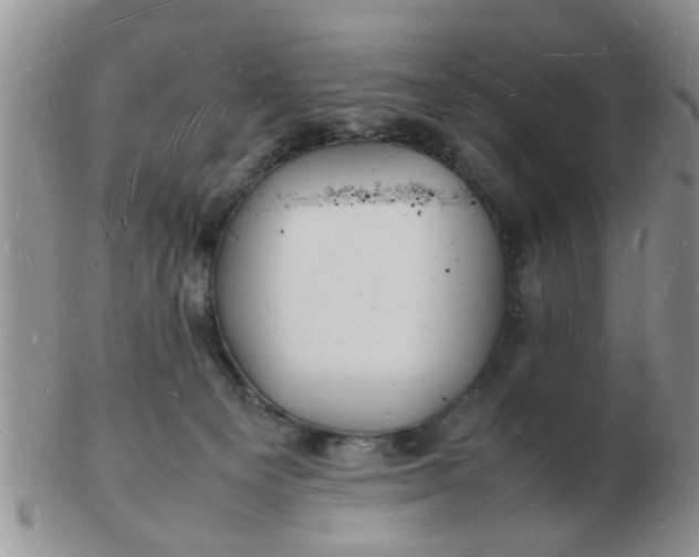 X0000103290129200809122016