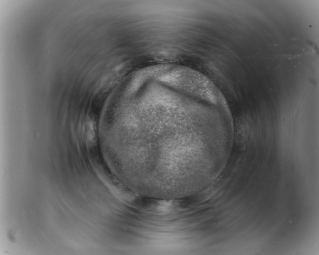 X0000103290130200809122016